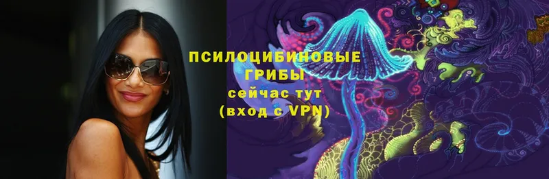 Галлюциногенные грибы GOLDEN TEACHER  Ковылкино 